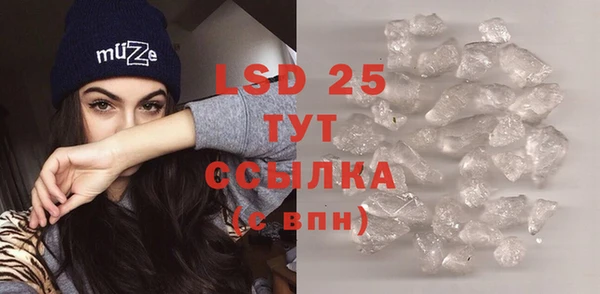 дживик Бородино