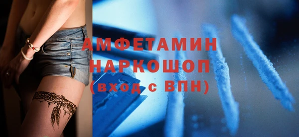 дживик Бородино
