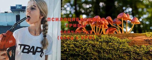 мяу мяу кристалл Богданович