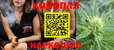 сатива Беслан