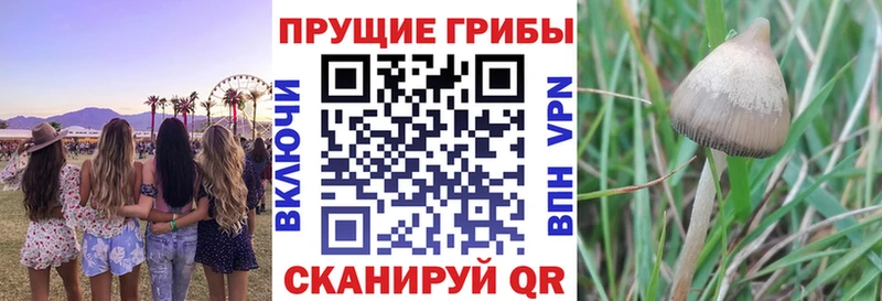как найти закладки  Воркута  Галлюциногенные грибы GOLDEN TEACHER 