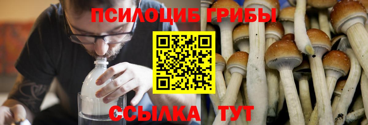 Галлюциногенные грибы MAGIC MUSHROOMS Воркута