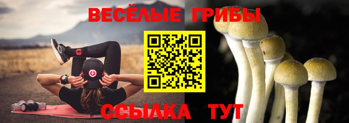 Галлюциногенные грибы GOLDEN TEACHER  Галлюциногенные грибы MAGIC MUSHROOMS  Воркута  наркотики  Вход с VPN 